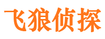 石屏市婚外情调查